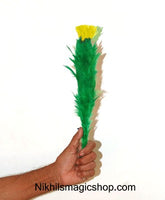 Blooming Blossom Repeat